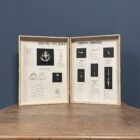 Geprepareerde kikker skeletten in houten boek