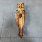 Verweerde oude paardenschedel